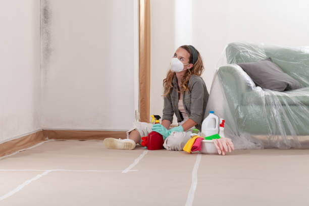 Reliable Commercial Mold Remediation contractor in Carrollton, GA by 24 Hour Mold Removal